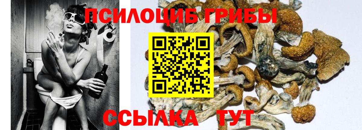 Псилоцибиновые грибы ЛСД  Галлюциногенные грибы Magic Shrooms  Вход с VPN  Воскресенск 